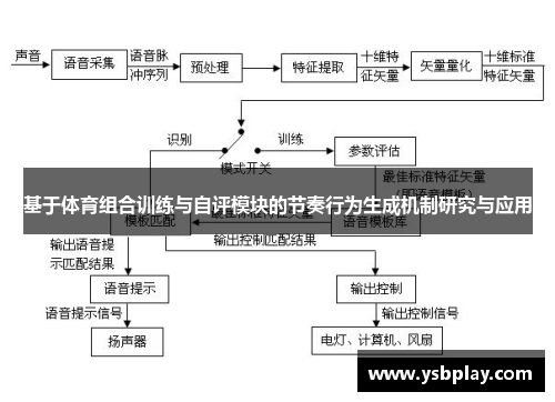 基于体育组合训练与自评模块的节奏行为生成机制研究与应用