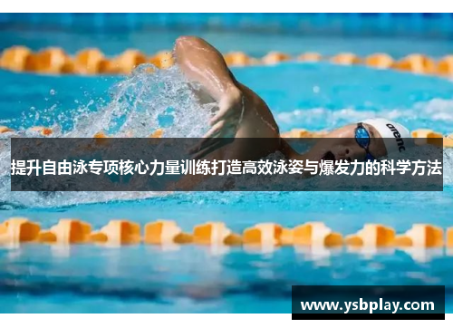 提升自由泳专项核心力量训练打造高效泳姿与爆发力的科学方法