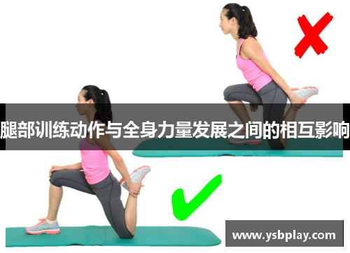 腿部训练动作与全身力量发展之间的相互影响