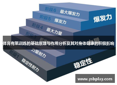 体育有氧训练的基础原理与作用分析及其对身体健康的积极影响